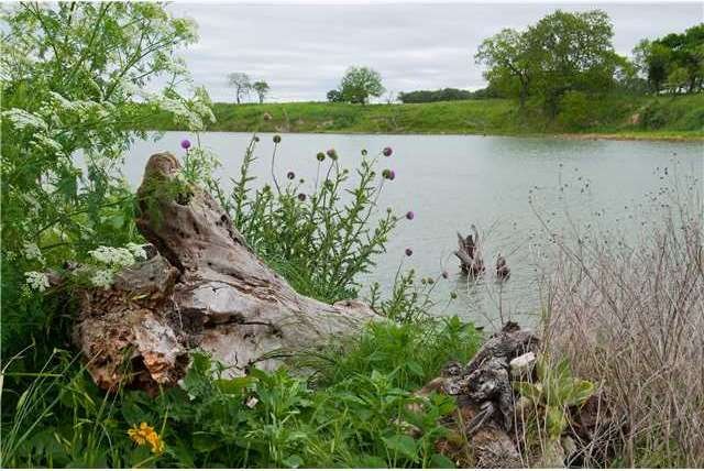 Waterfront/Dock/Pier : River Frontage