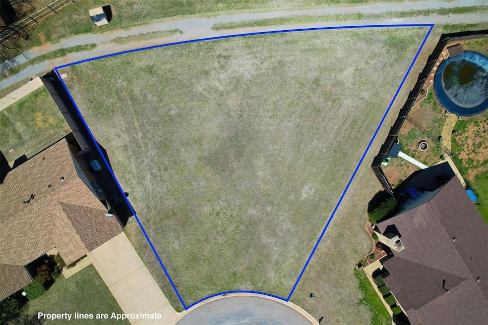 View of bird's eye view