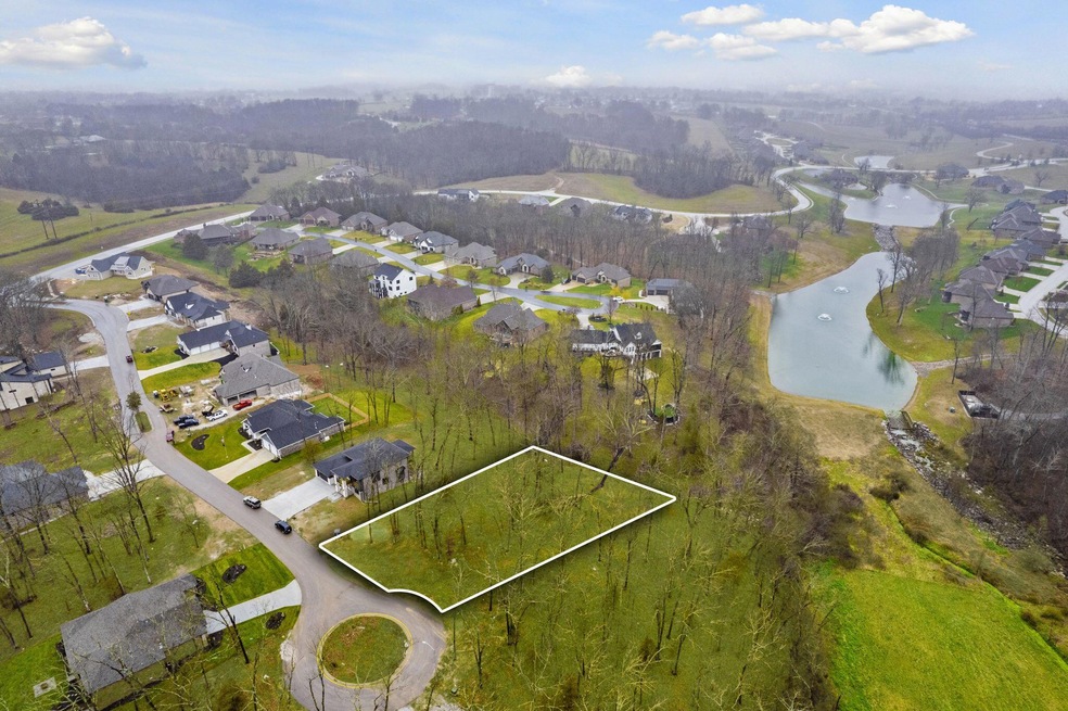 403 W Declan, Nixa, MO 65714 - photo 1