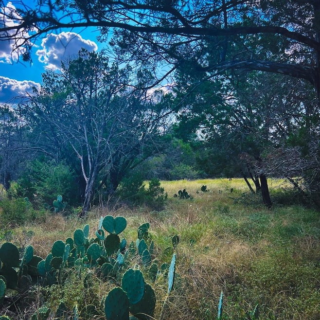 163 Angus Trail unit 2, Canyon Lake, TX 78070 - photo 1