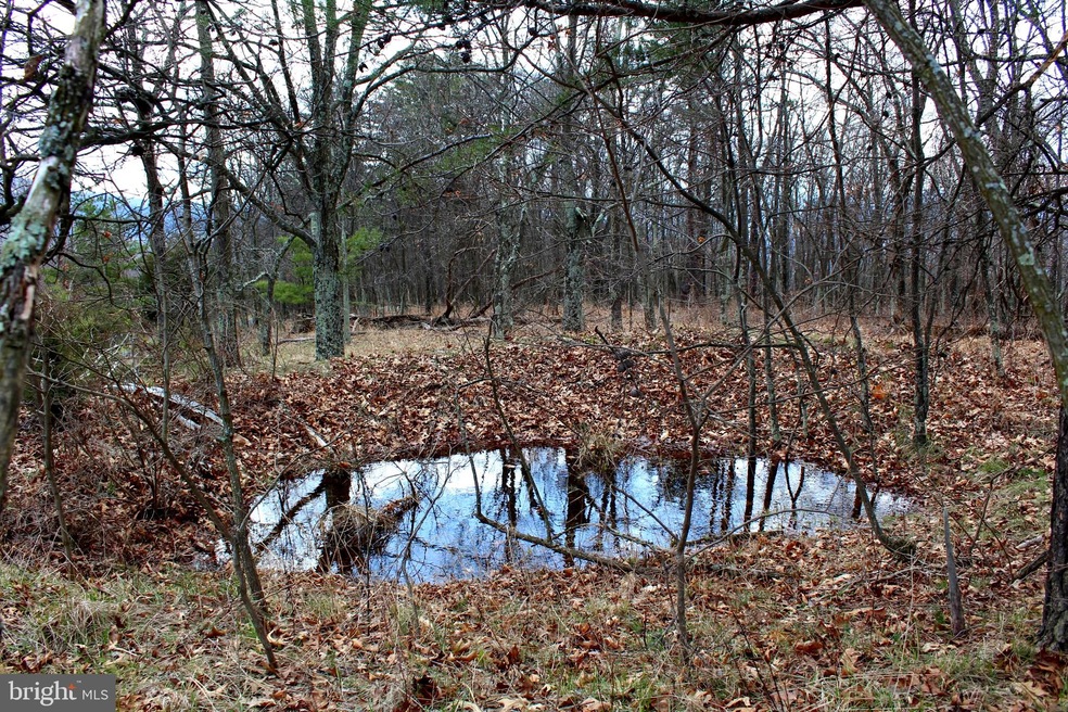 LOT 194 Lockinger Ridge Rd, Old Fields, WV 26836 - photo 1