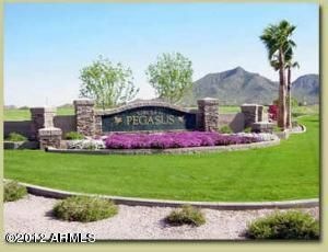 Pegasus front picture