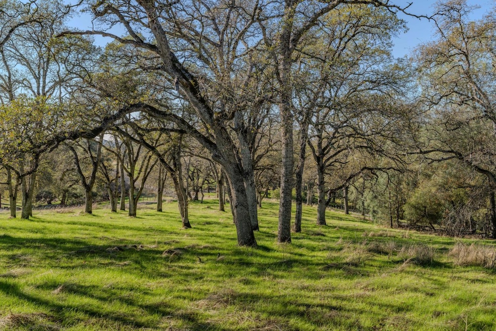 0 N Oak Ridge Cir unit 225146488, El Dorado, CA 95623 - photo 1