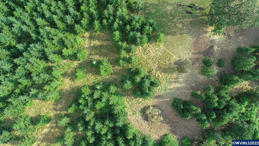 8390 Blanchard Rd, Sheridan, OR 97378 - photo 1