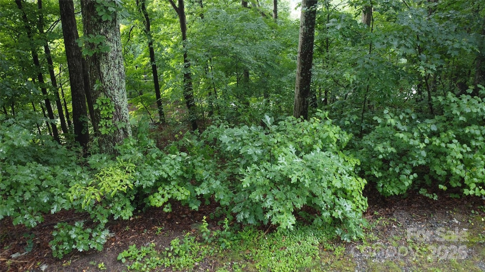 For Sale $55,000 • Co-Listing Agent