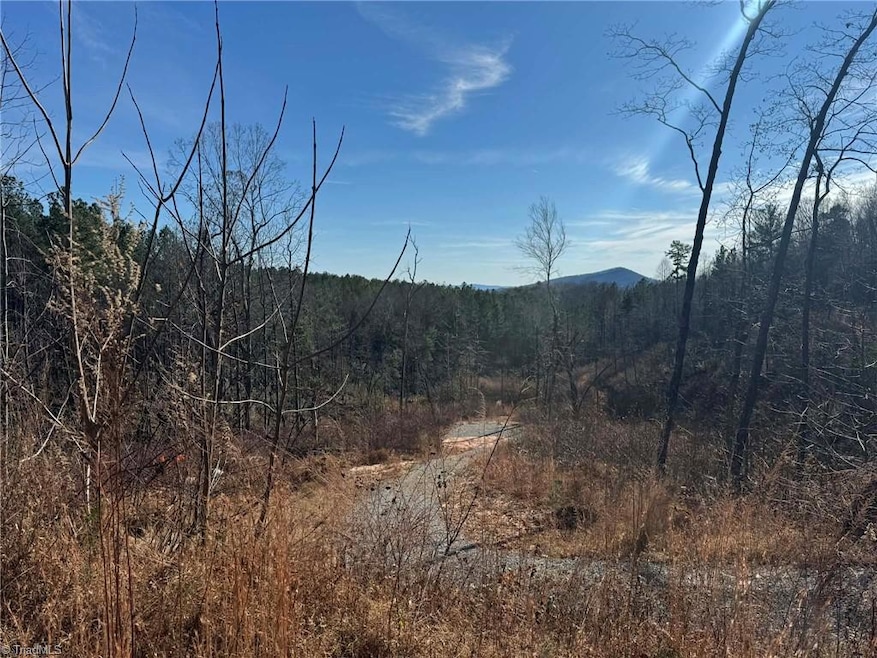 TBD Old Railroad Grade Rd, Thurmond, NC 28683 - photo 1
