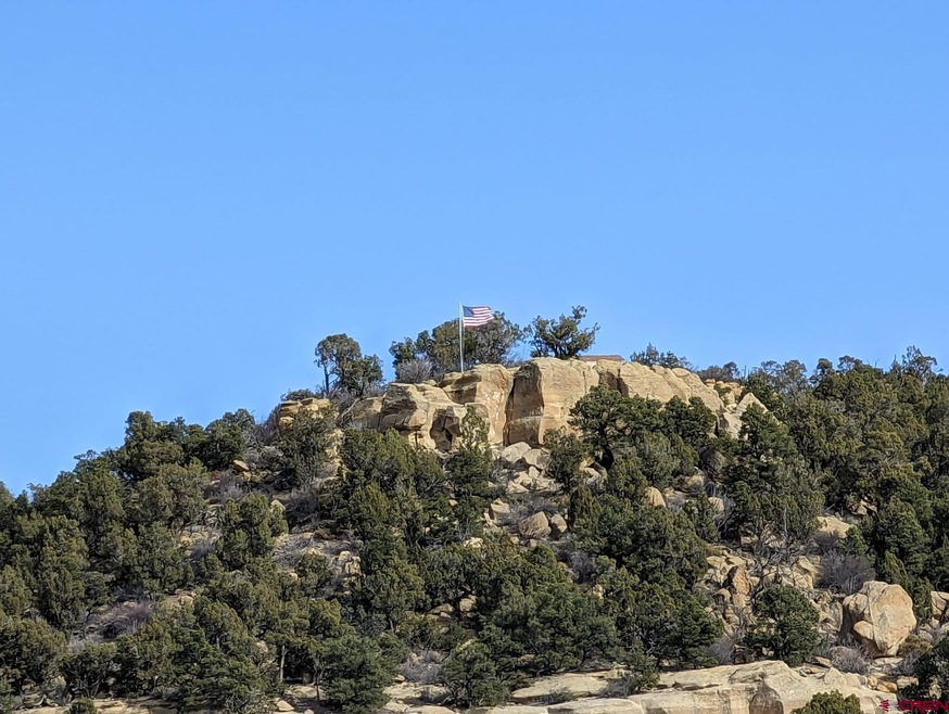 TBD Indian Route 111 Rd, Durango, CO 81303 - photo 1