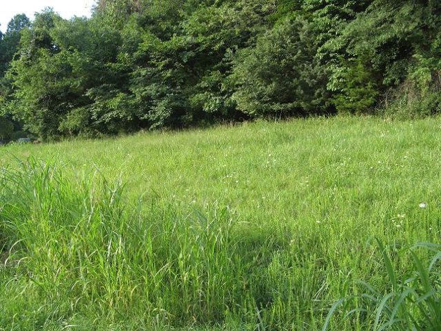 Lot 23 Plantation Dr, Cookeville, TN 38506 - photo 1