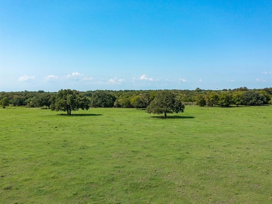 Tract 1 County Rd 415, Coyote Flats, TX 76031 - photo 1