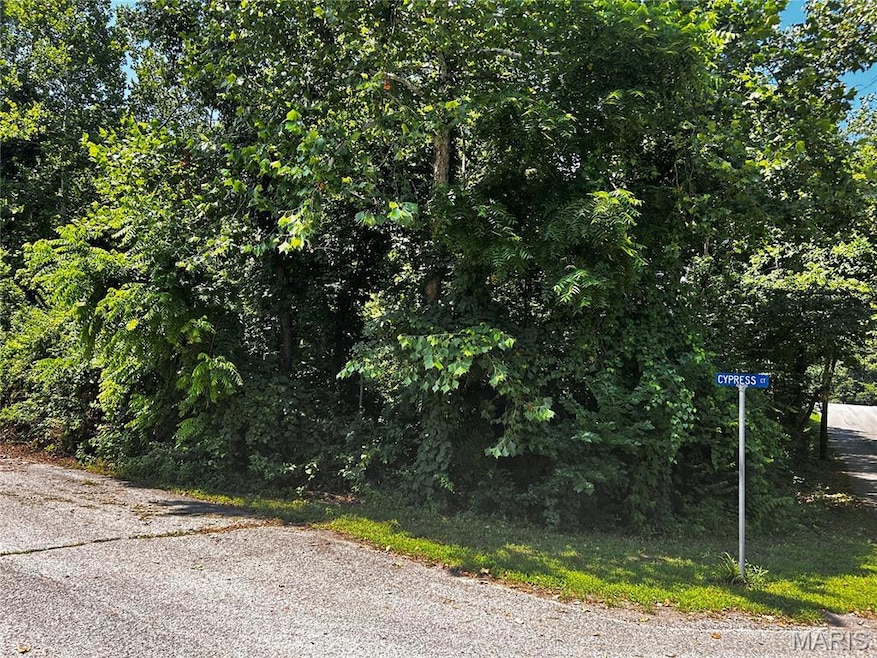 205 Incline Village (Cypress Ct), Unincorporated, MO 63348 - photo 1