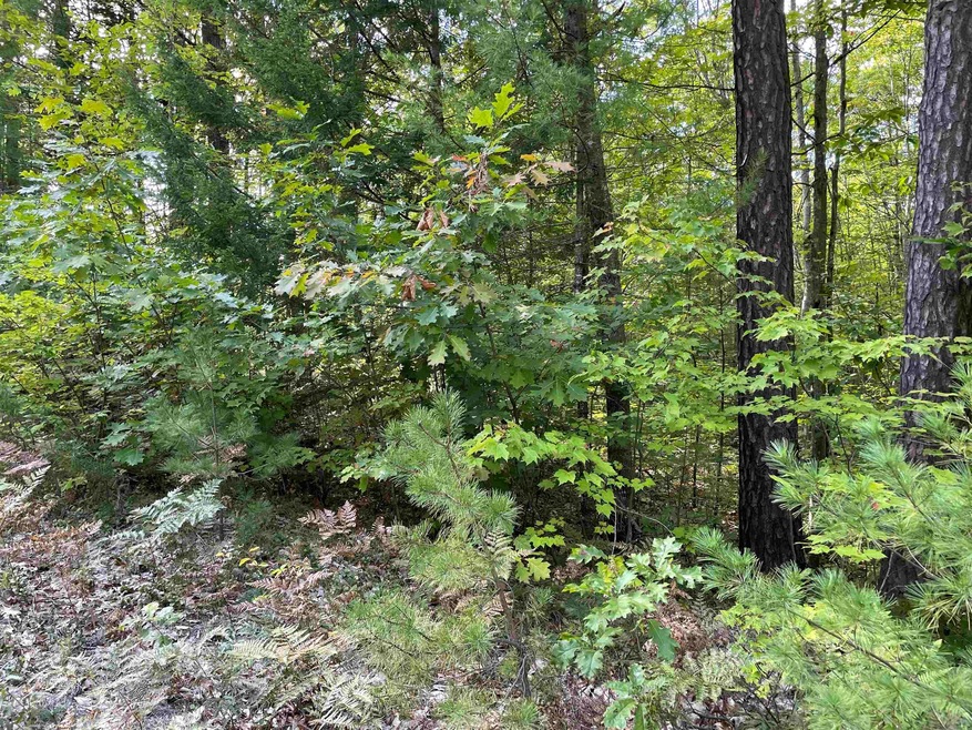 0 Elm St, Effingham, NH 03882 - photo 1