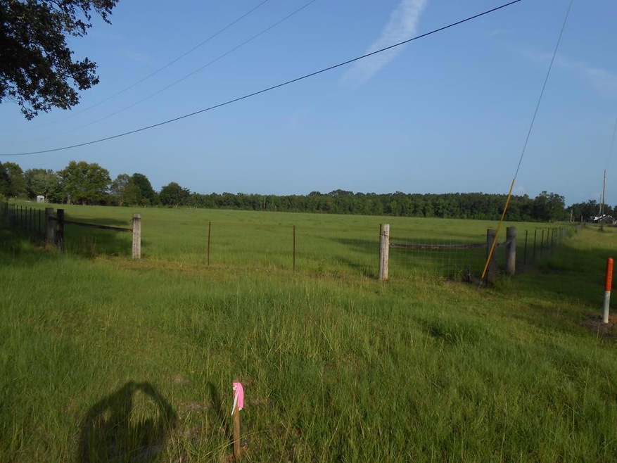 00000 William Rd, Picayune, MS 39466 - photo 1