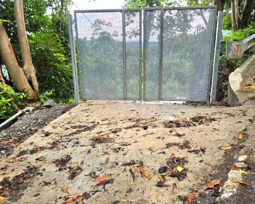 KM 19.9 Carr 128, Yauco, PR 00698 - photo 1