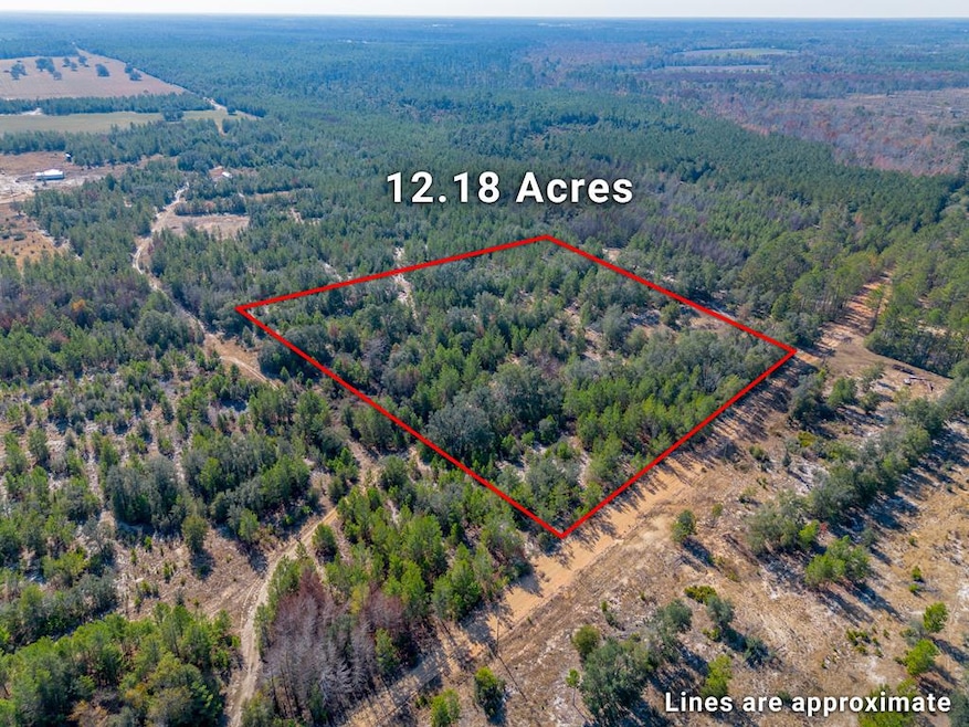 503 Old McHaus Rd, Nicholls, GA 31554 - photo 1