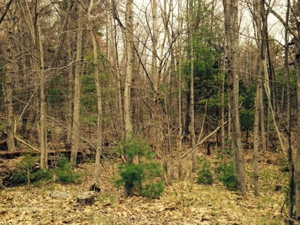 0 Gardner Rd unit 72157341, Hubbardston, MA 01452 - photo 1