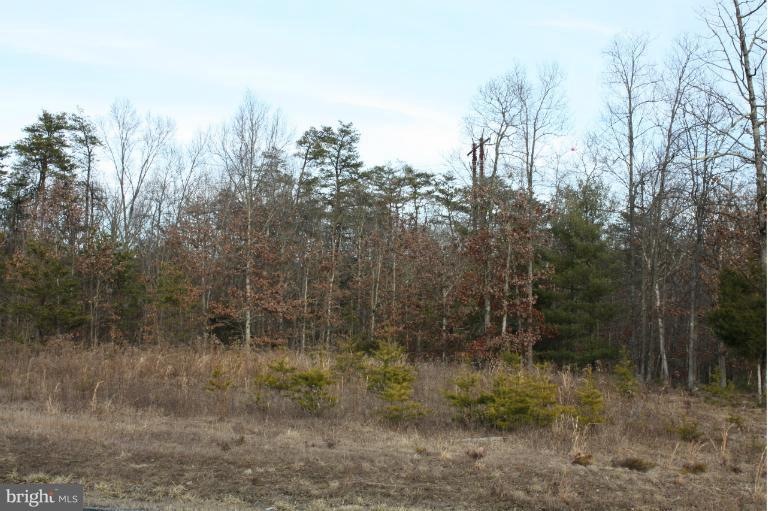0 Lot 15 Spring Wood Ln unit VAWR133836, Stephens City, VA 22655 - photo 1
