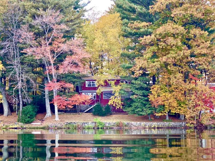 VIEW FROM THE LAKE
