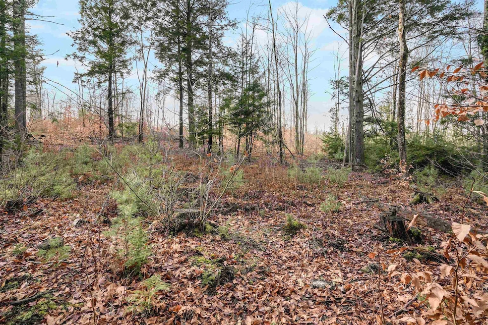 404/91/1A Merrill Rd, Candia, NH 03034 - photo 1