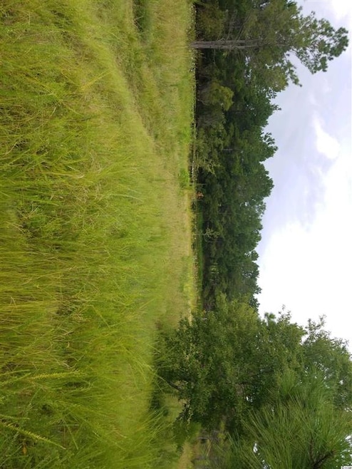 0 Pebble Ln, Conway, SC 29526 - photo 1