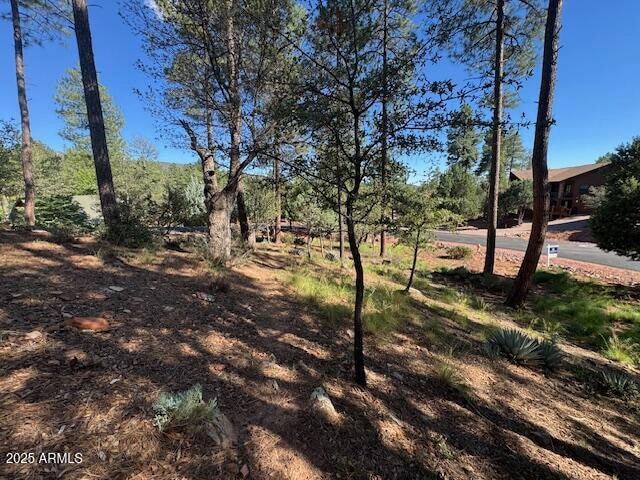 Lot 33 Sage Ct unit 33, Pine, AZ 85544 - photo 1
