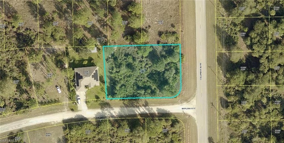 1169 Bayliss St E, Lehigh Acres, FL 33974 - photo 1