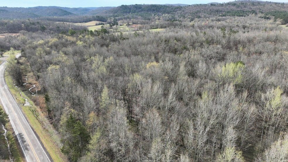 TBD Highway 8 E, Mena, AR 71953 - photo 1