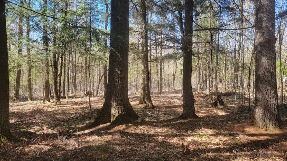 For Sale $89,900 • Co-Listing Agent