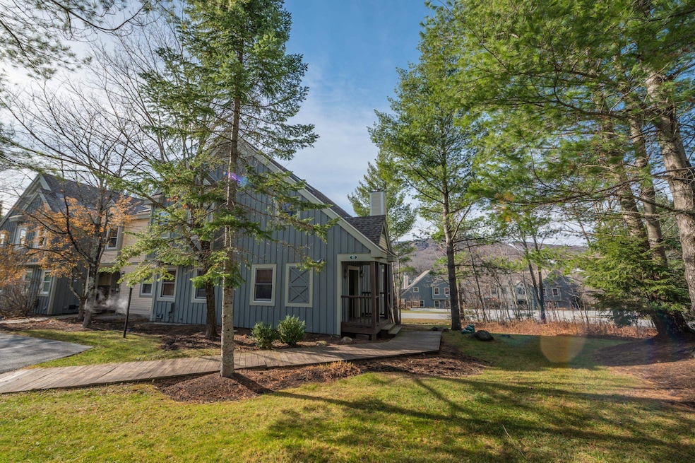 47 Greenspring Rd, Dover, VT 05356 - photo 1