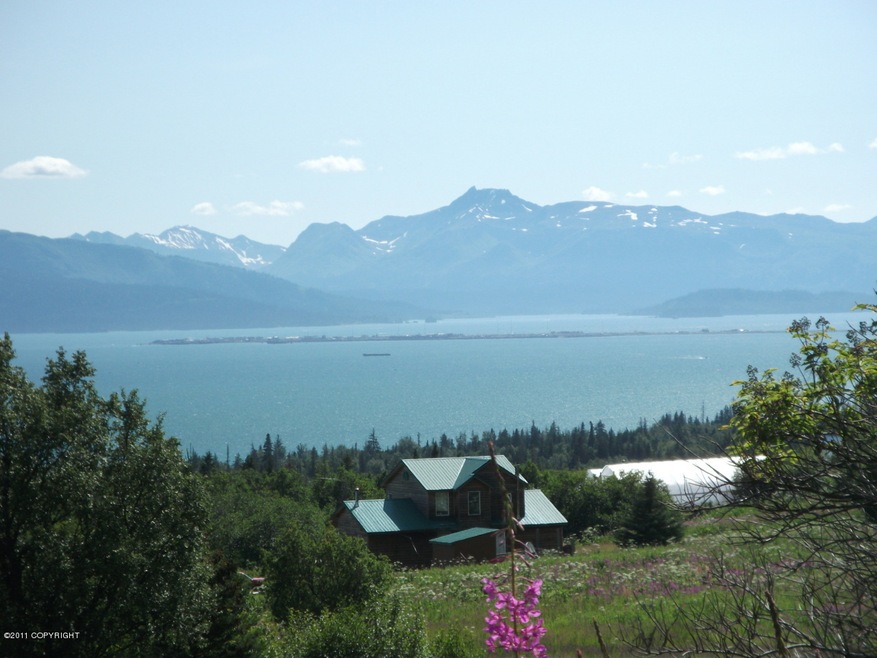 Spit View