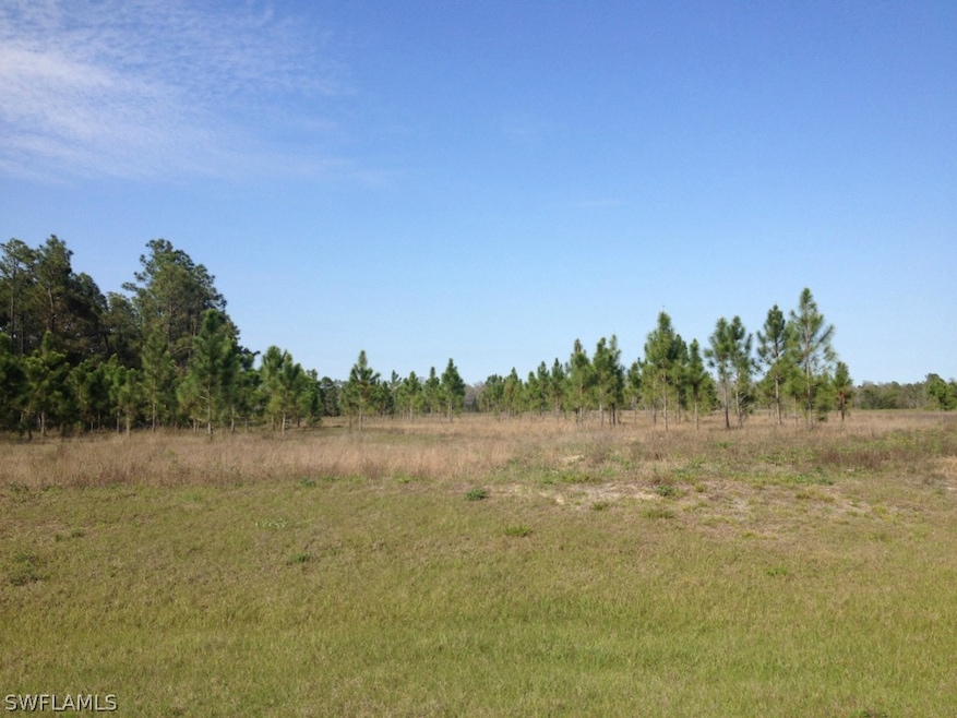 20101 Barefoot Ski Blvd, Estero, FL 33928 - photo 1