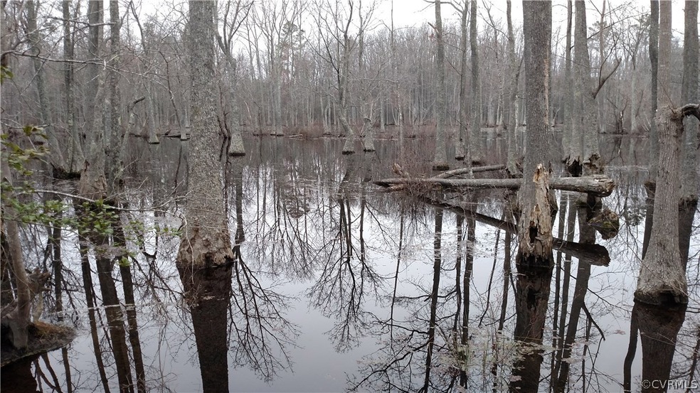 00 Reds Way, Prince George, VA 23842 - photo 1