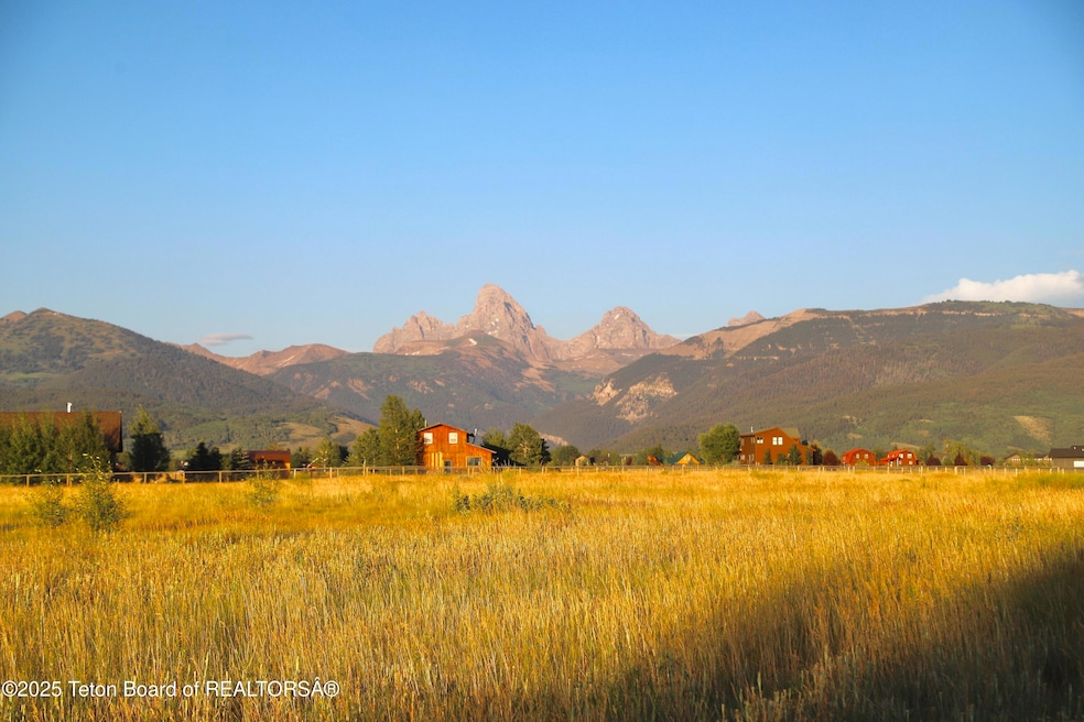 ONeil Saddlehorn-Main