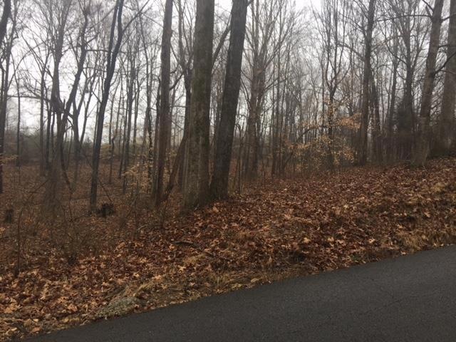 0 Druid Hills Dr, Dickson, TN 37055 - photo 1