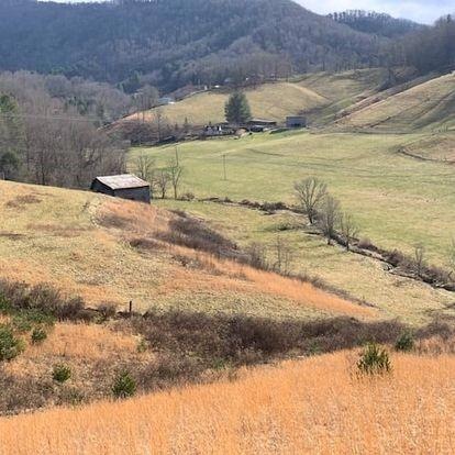 0000 Phipps Creek Rd, Burnsville, NC 28714 - photo 1