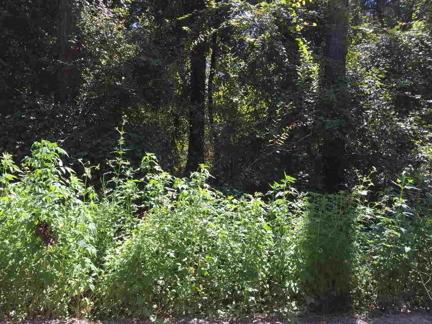 0 Quapaw St unit 261390, Crawfordville, FL 32327 - photo 1