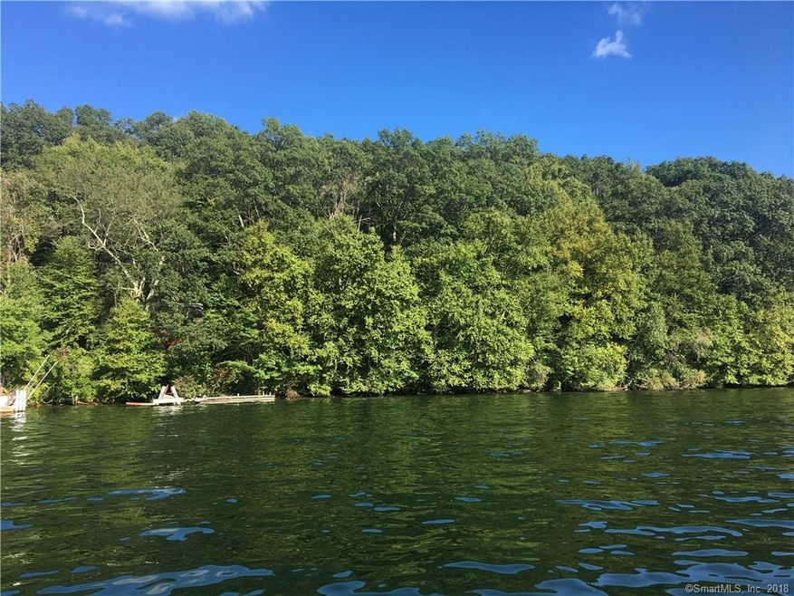 View of lot from lake