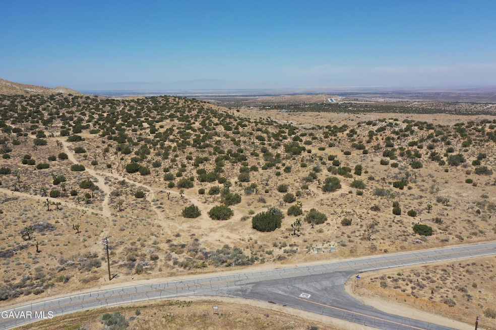 DJI_0984