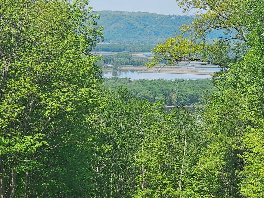 3 Park Ct unit Lot 3, Freeman, WI 54624 - photo 1