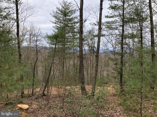 0 Route 00034 unit PAPY100554, Newport, PA 17074 - photo 1