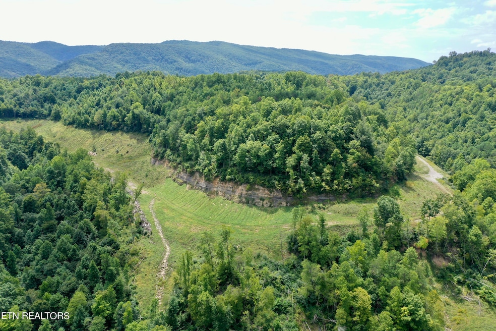 0 Westbourne Rd unit 1274842, Duff, TN 37729 - photo 1