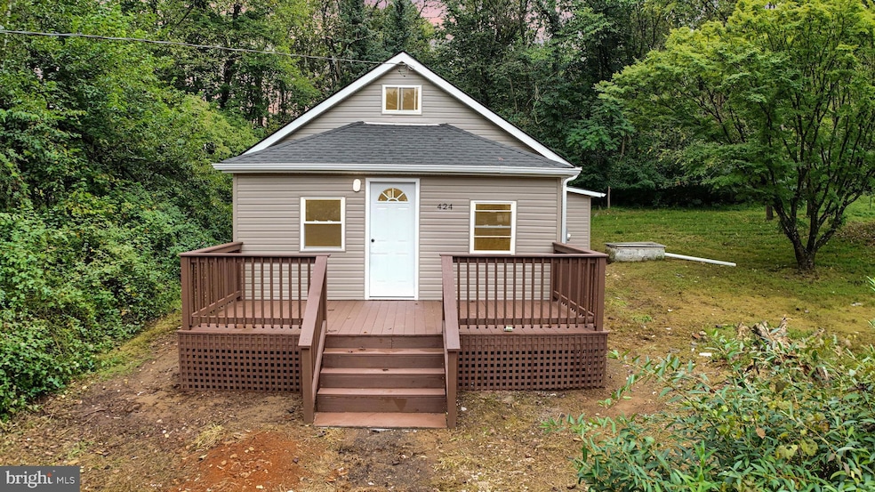 424 Old Conowingo Rd, Conowingo, MD 21918 - photo 1