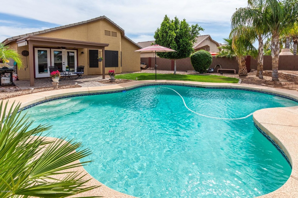 Premium Backyard