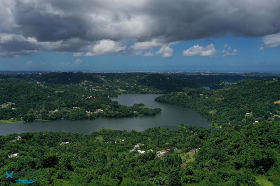 001 Carr 942, Gurabo, PR 00778 - photo 1