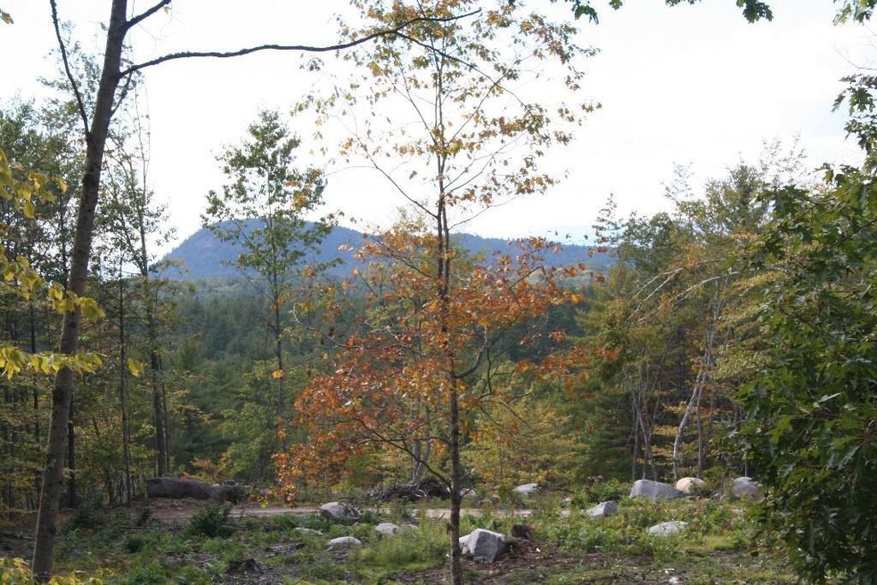Mt Tom in Fryeburg Maine