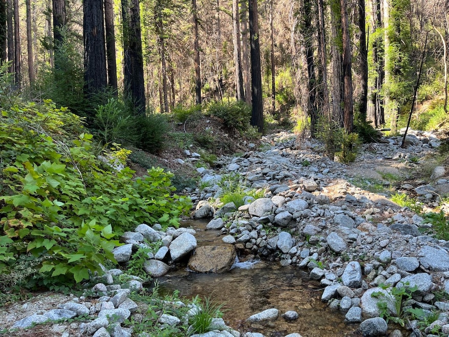 Lot 04 Boulder Brook Dr, Boulder Creek, CA 95006 - photo 1