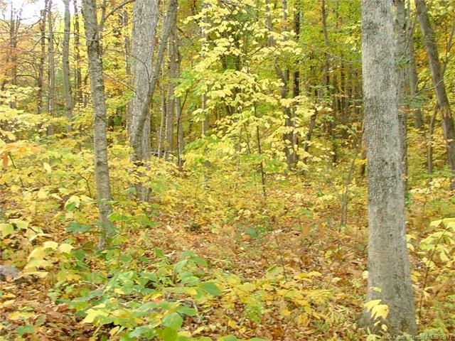 0 Evergreen Ln unit L10091177, Warren, CT 06754 - photo 1