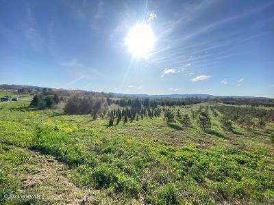 0 Lime Bluff Rd unit 3 WB-96792, Muncy, PA 17756 - photo 1