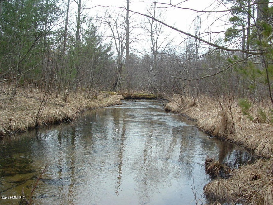 Dexter Rd. 9