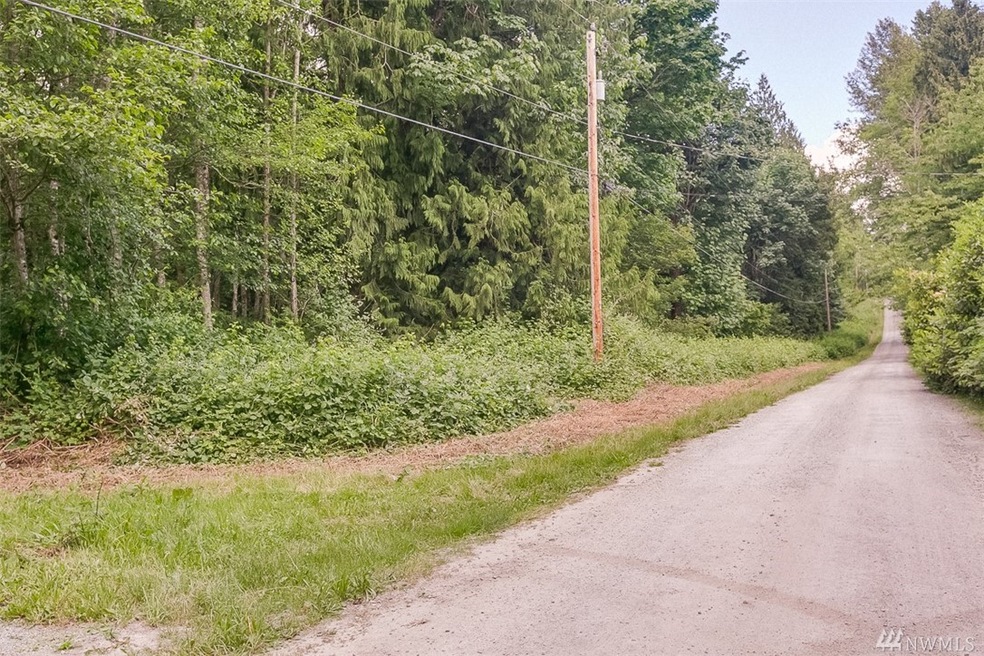 0 317th St NW, Stanwood, WA 98292 - photo 1