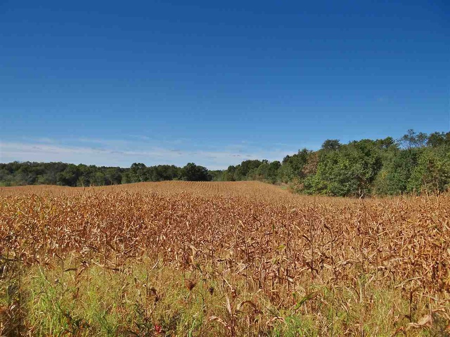 119.1 Ac Old Hwy 81, Argyle, WI 53504 - photo 1